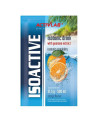 Activlab Iso Active 31,5g - 1