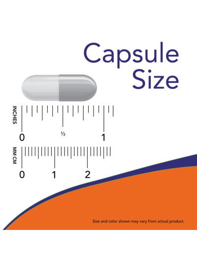 Tabletka NOW FOODS Alpha GPC 300mg 60 vcaps w sklepie Pakuj ZDROWIE Gdańsk Wrzeszcz