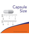 Kapsułka NOW FOODS Beta-1,3/1,6-D-Glucan 100 mg 90 vcaps w sklepie Pakuj ZDROWIE Gdańsk Wrzeszcz