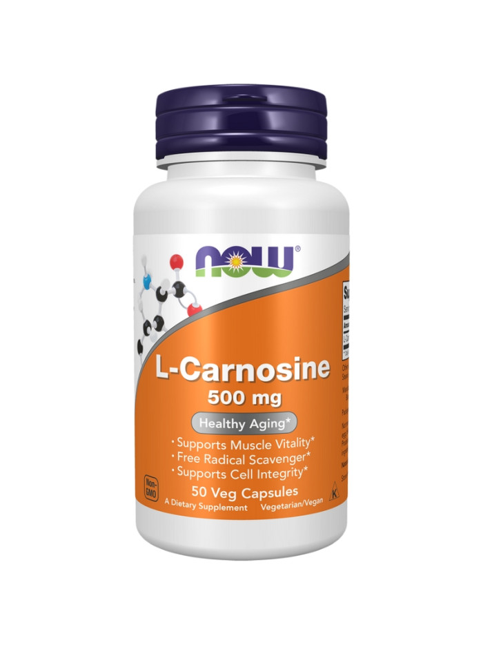 NOW FOODS L-Carnosine 500 mg 50 vcaps w sklepie Pakuj ZDROWIE Gdańsk Wrzeszcz