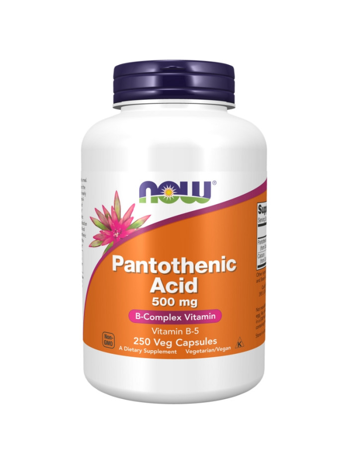 NOW FOODS Pantothenic Acid 500 mg 250 vcaps w sklepie Pakuj ZDROWIE Gdańsk Wrzeszcz