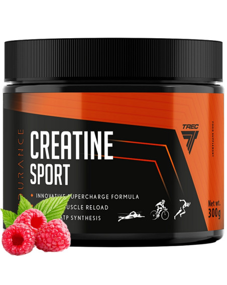 TREC Creatine Sport Endurance 300 g - 2