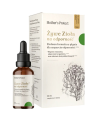MOTHER'S PROTECT Żywe Zioła na Odporność 30 ml w Pakuj ZDROWIE Gdańsk Wrzeszcz