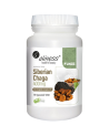 ALINESS Siberian Chaga 400mg 90 vcaps w Pakuj ZDROWIE Gdańsk Wrzeszcz