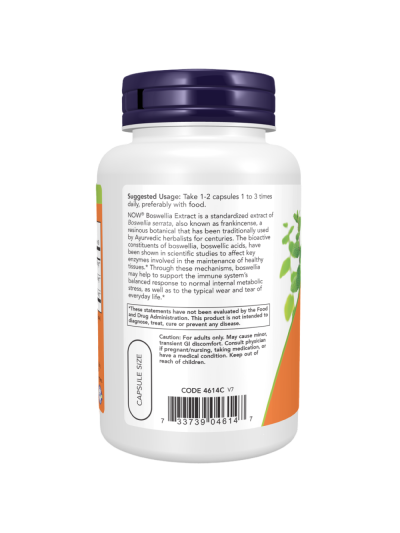 Tył NOW FOODS Boswellia Extract 250mg 120 vcaps w Pakuj ZDROWIE Gdańsk Wrzeszcz