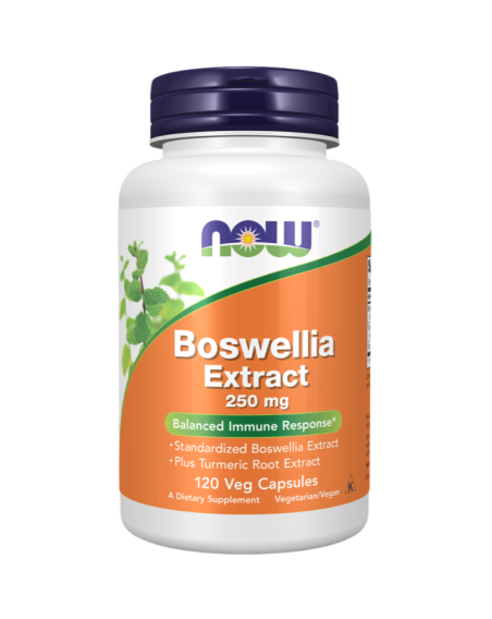 NOW FOODS Boswellia Extract 250mg 120 vcaps w Pakuj ZDROWIE Gdańsk Wrzeszcz
