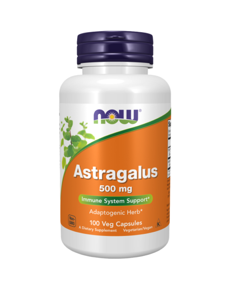 NOW FOODS Astragalus 500 mg 100 vcaps w Pakuj ZDROWIE Gdańsk Wrzeszcz