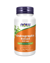 NOW FOODS Andrographis Extract 400mg 90 vcaps w Pakuj ZDROWIE Gdańsk Wrzeszcz