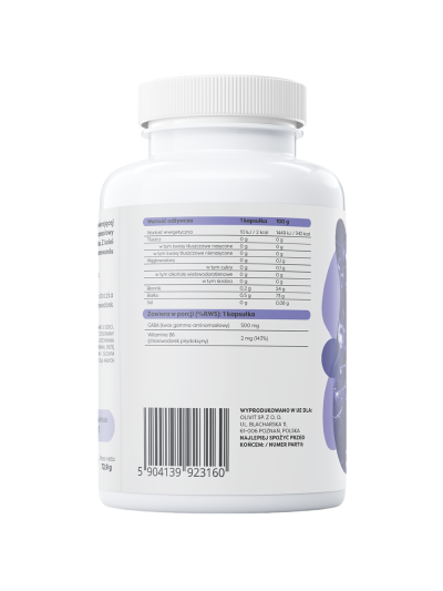 Skład OSAVI GABA 500mg + witamina B6 120 vcaps w Pakuj ZDROWIE Gdańsk Wrzeszcz
