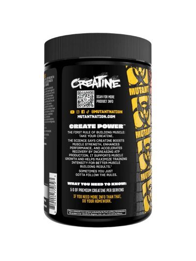 Tył PVL Creatine Monohydrate 300 g w Pakuj ZDROWIE Gdańsk Wrzeszcz