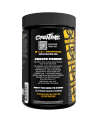 Tył PVL Creatine Monohydrate 300 g w Pakuj ZDROWIE Gdańsk Wrzeszcz