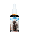 FUNKY FLAVORS Sweet Dark Chocolate 50 ml w Pakuj ZDROWIE Gdańsk Wrzeszcz