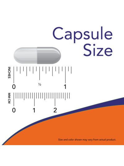 Kapsułka NOW FOODS Phosphatidyl Serine 100mg 100 vcaps w Pakuj ZDROWIE Gdańsk Wrzeszcz