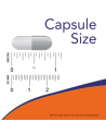 Kapsułka NOW FOODS Phosphatidyl Serine 100mg 100 vcaps w Pakuj ZDROWIE Gdańsk Wrzeszcz