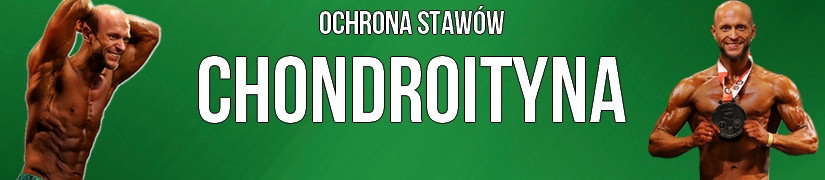 Chondroityna