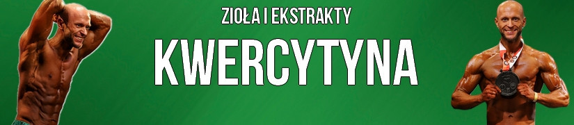 Kwercytyna