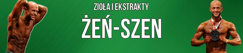 Żeń-szen