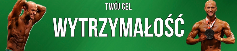 Wytrzymałość