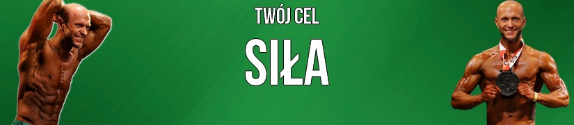 Siła