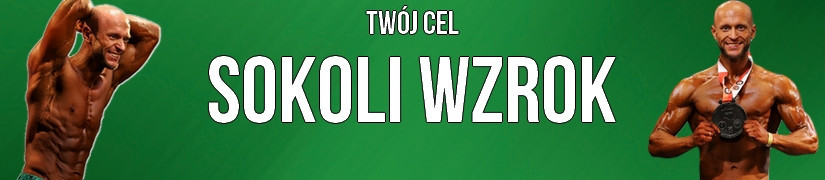 Sokoli wzrok